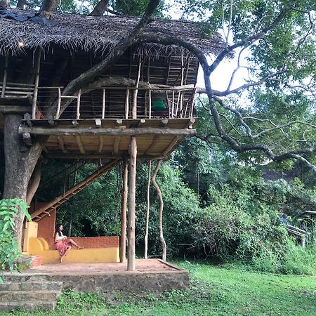 Back Of Beyond - Wild Haven Vila Sigiriya Exterior foto