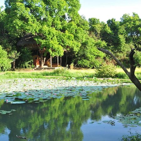Back Of Beyond - Wild Haven Vila Sigiriya Exterior foto