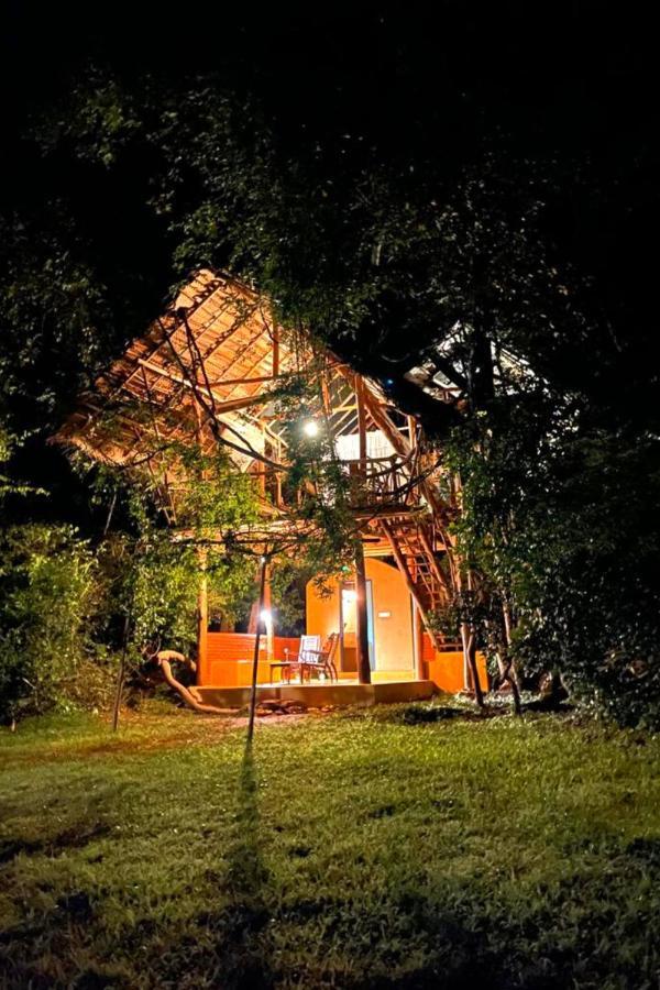 Back Of Beyond - Wild Haven Vila Sigiriya Exterior foto