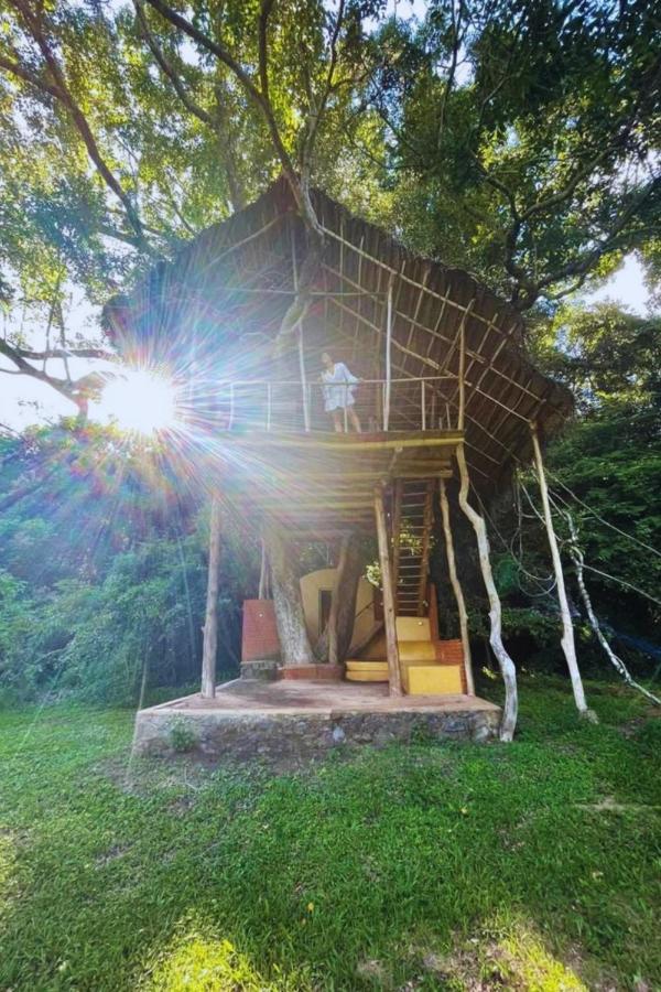 Back Of Beyond - Wild Haven Vila Sigiriya Exterior foto