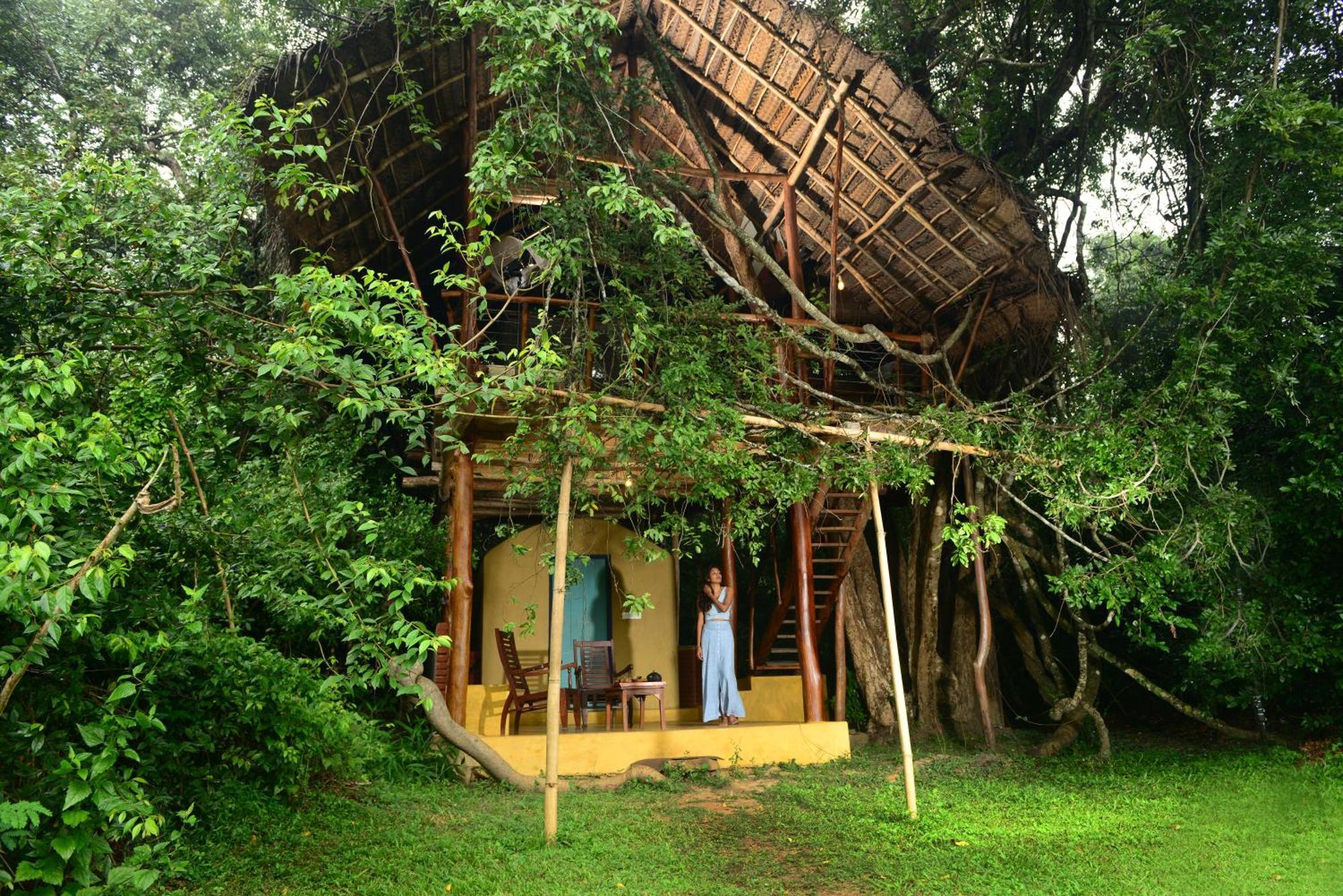 Back Of Beyond - Wild Haven Vila Sigiriya Exterior foto