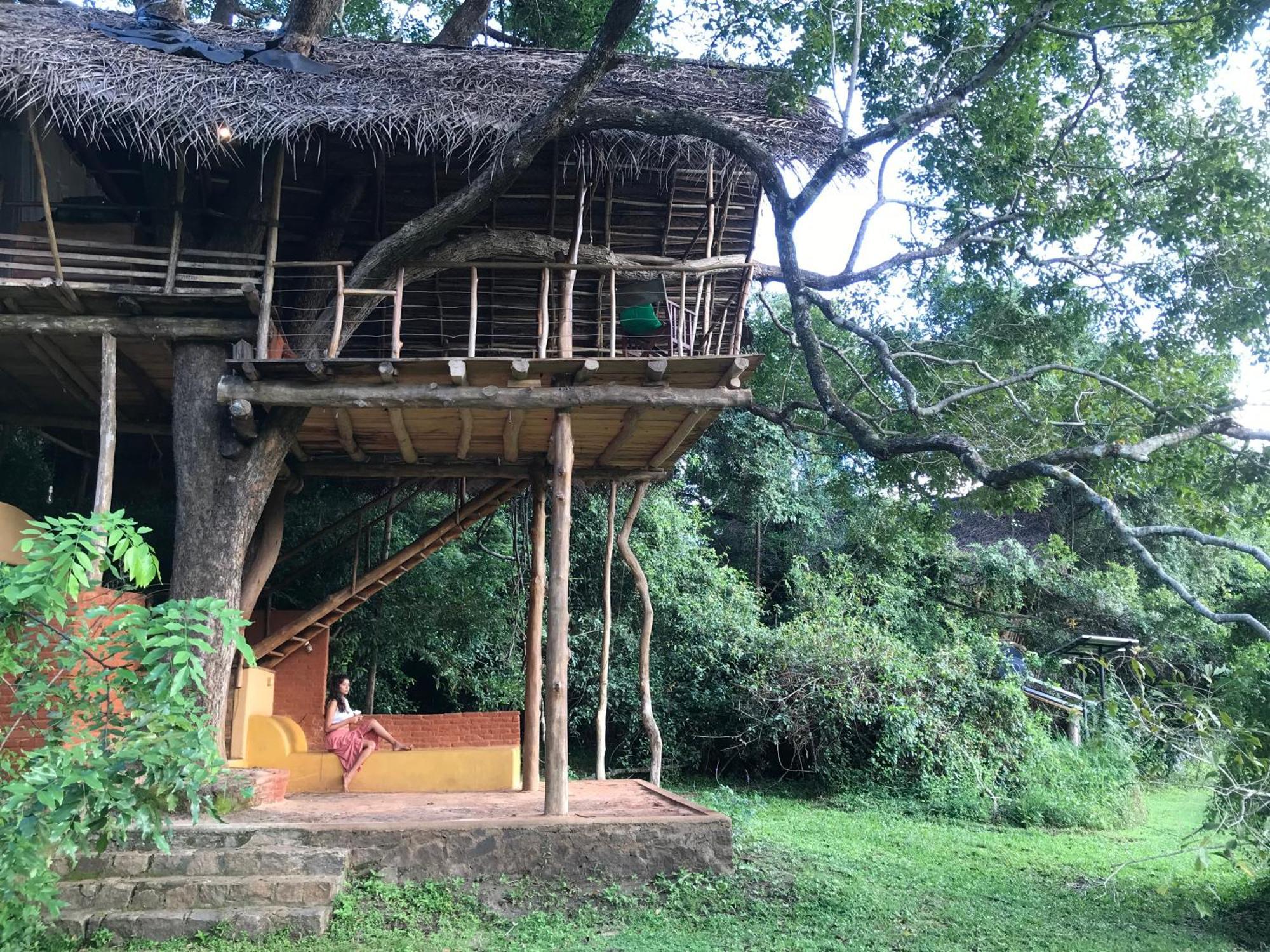 Back Of Beyond - Wild Haven Vila Sigiriya Exterior foto