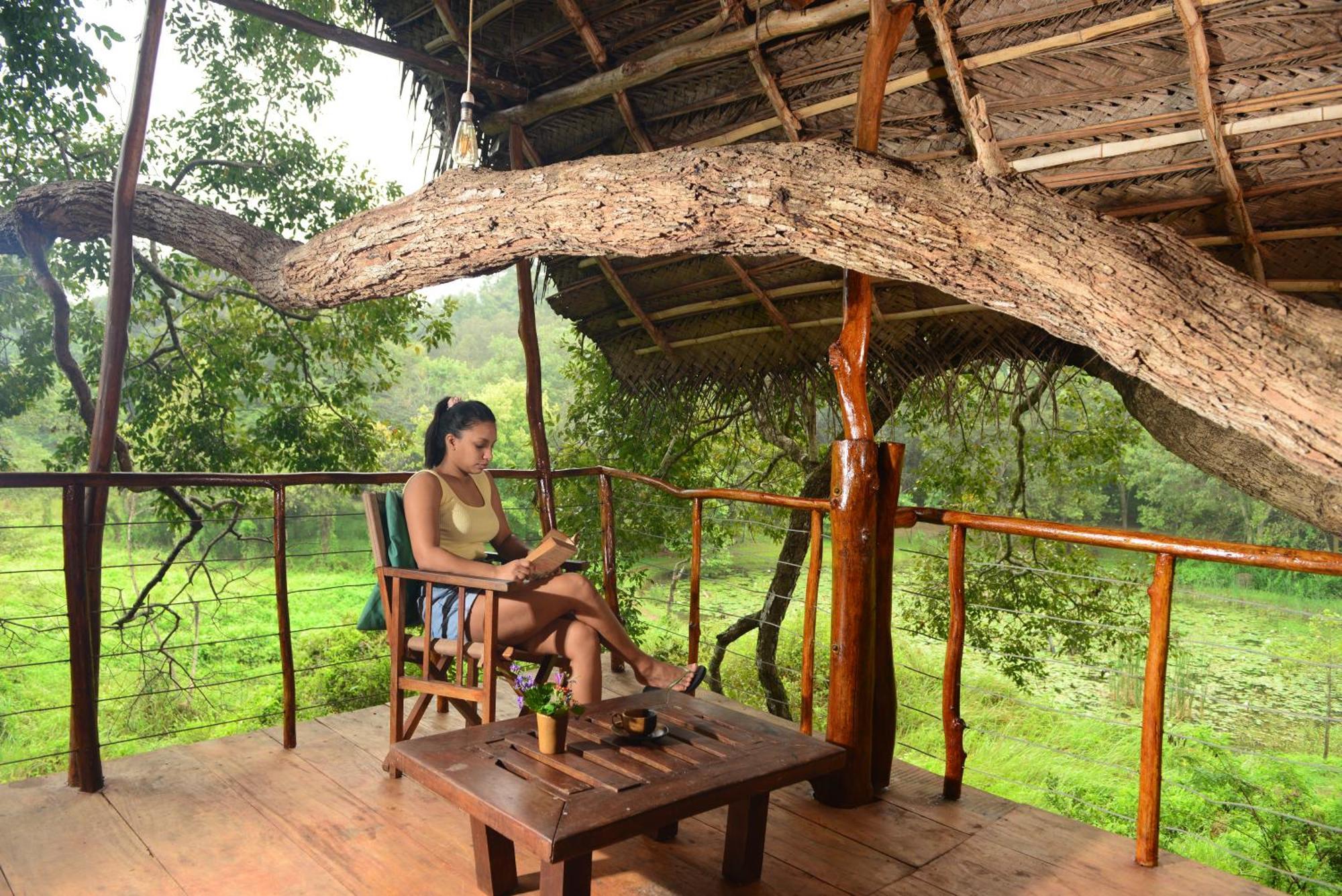 Back Of Beyond - Wild Haven Vila Sigiriya Exterior foto