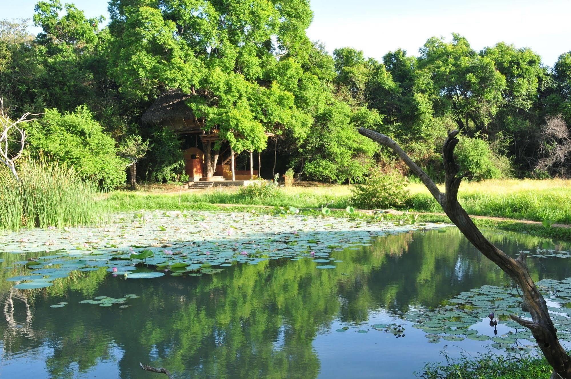 Back Of Beyond - Wild Haven Vila Sigiriya Exterior foto
