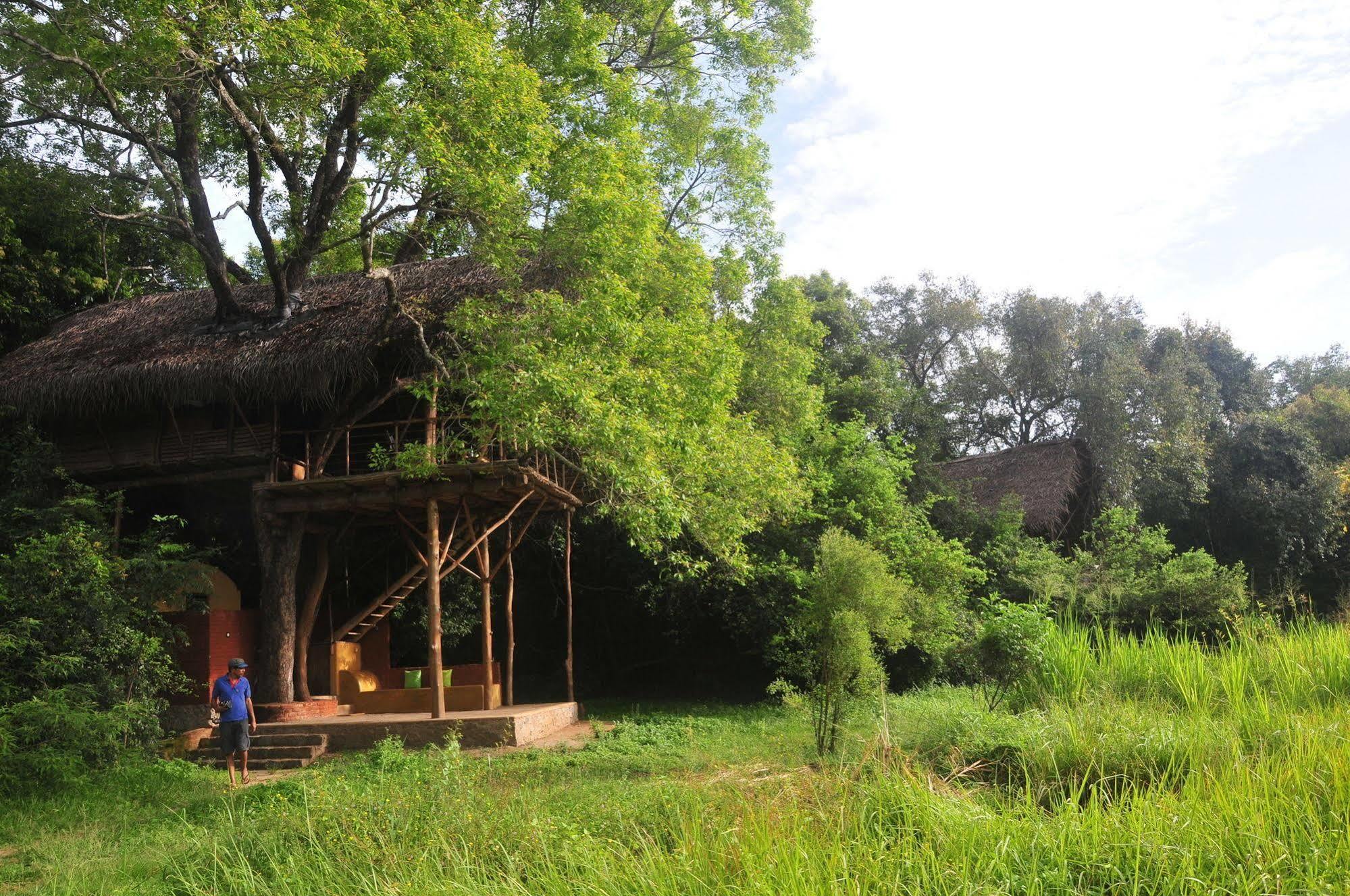 Back Of Beyond - Wild Haven Vila Sigiriya Exterior foto
