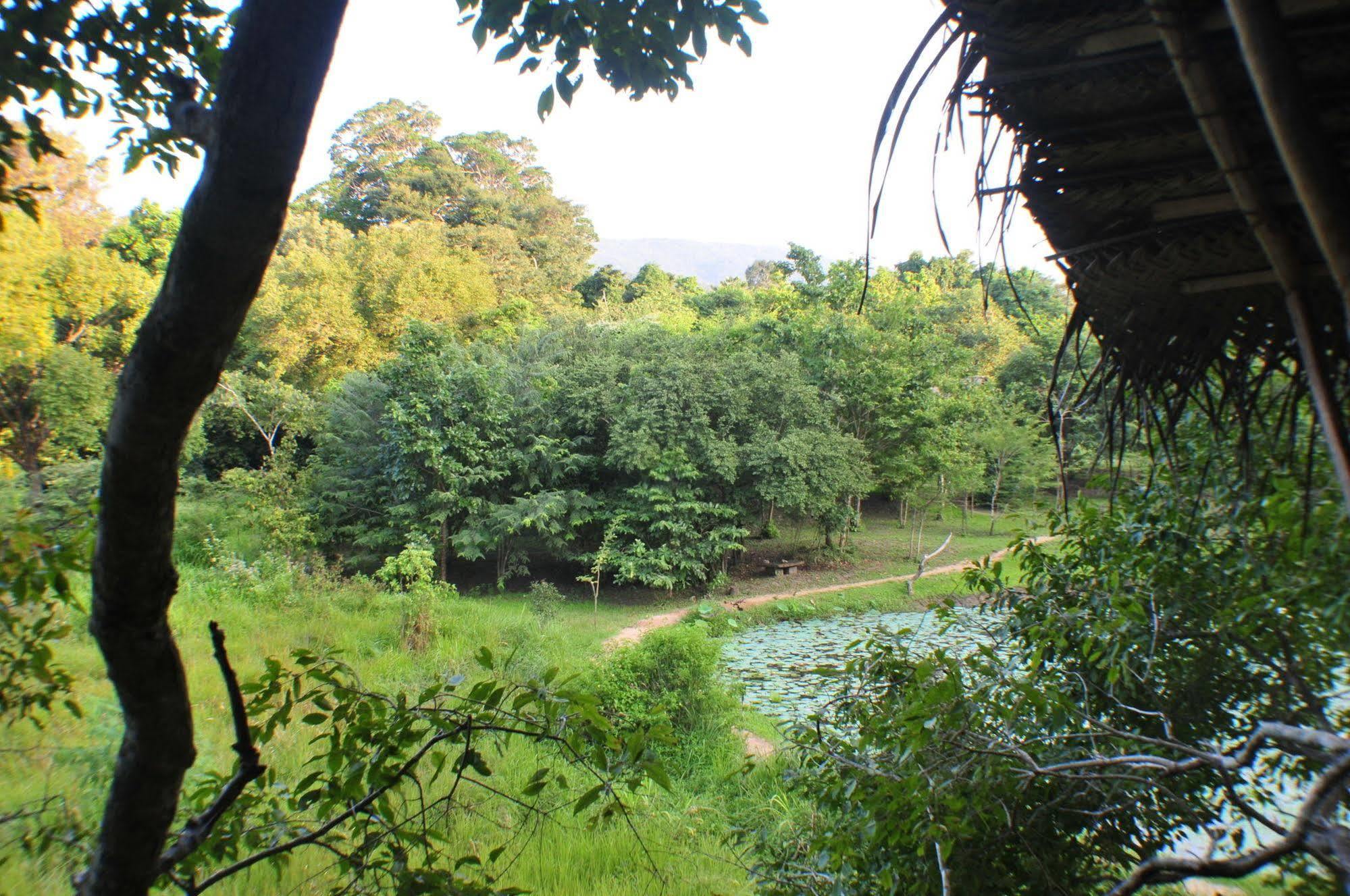 Back Of Beyond - Wild Haven Vila Sigiriya Exterior foto