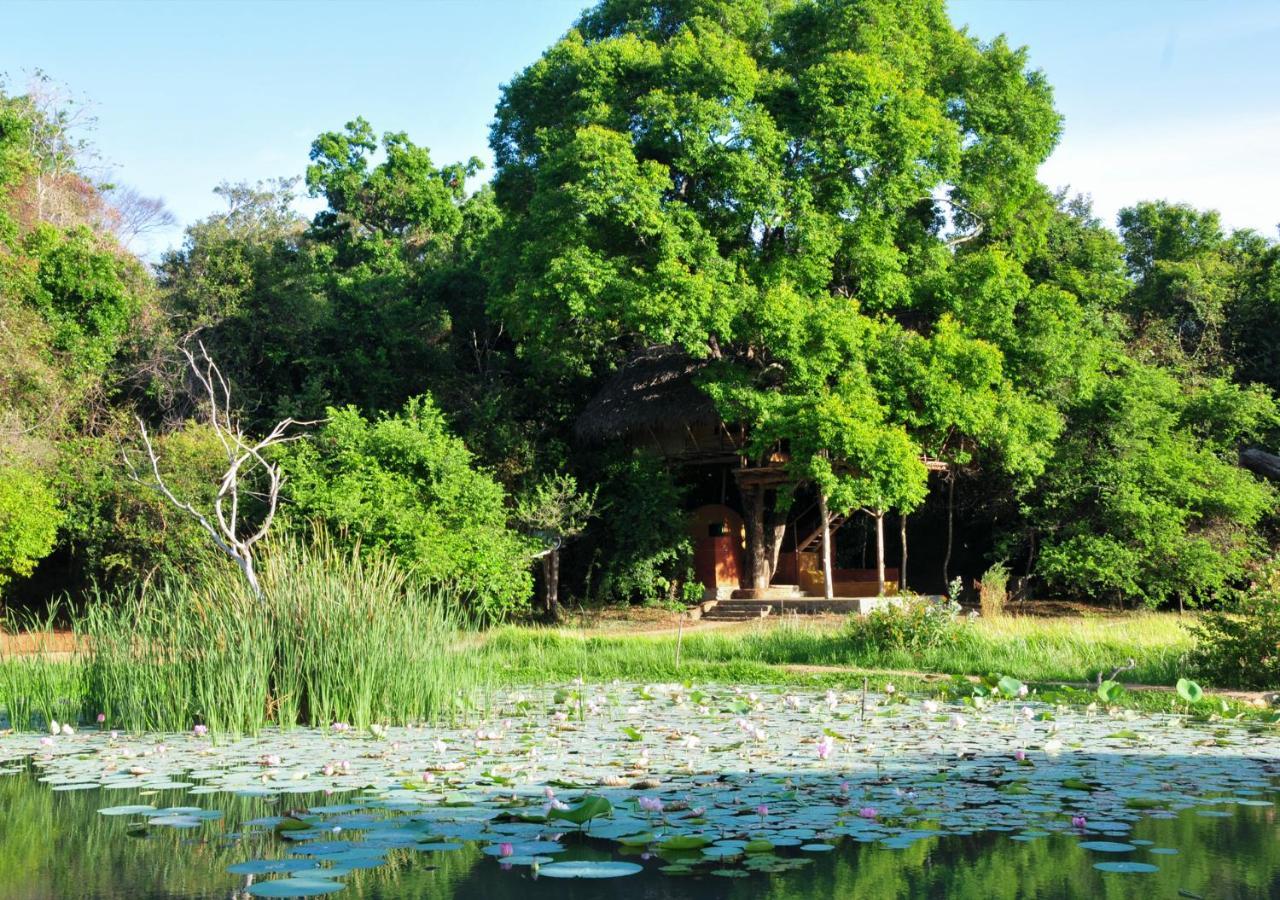 Back Of Beyond - Wild Haven Vila Sigiriya Exterior foto