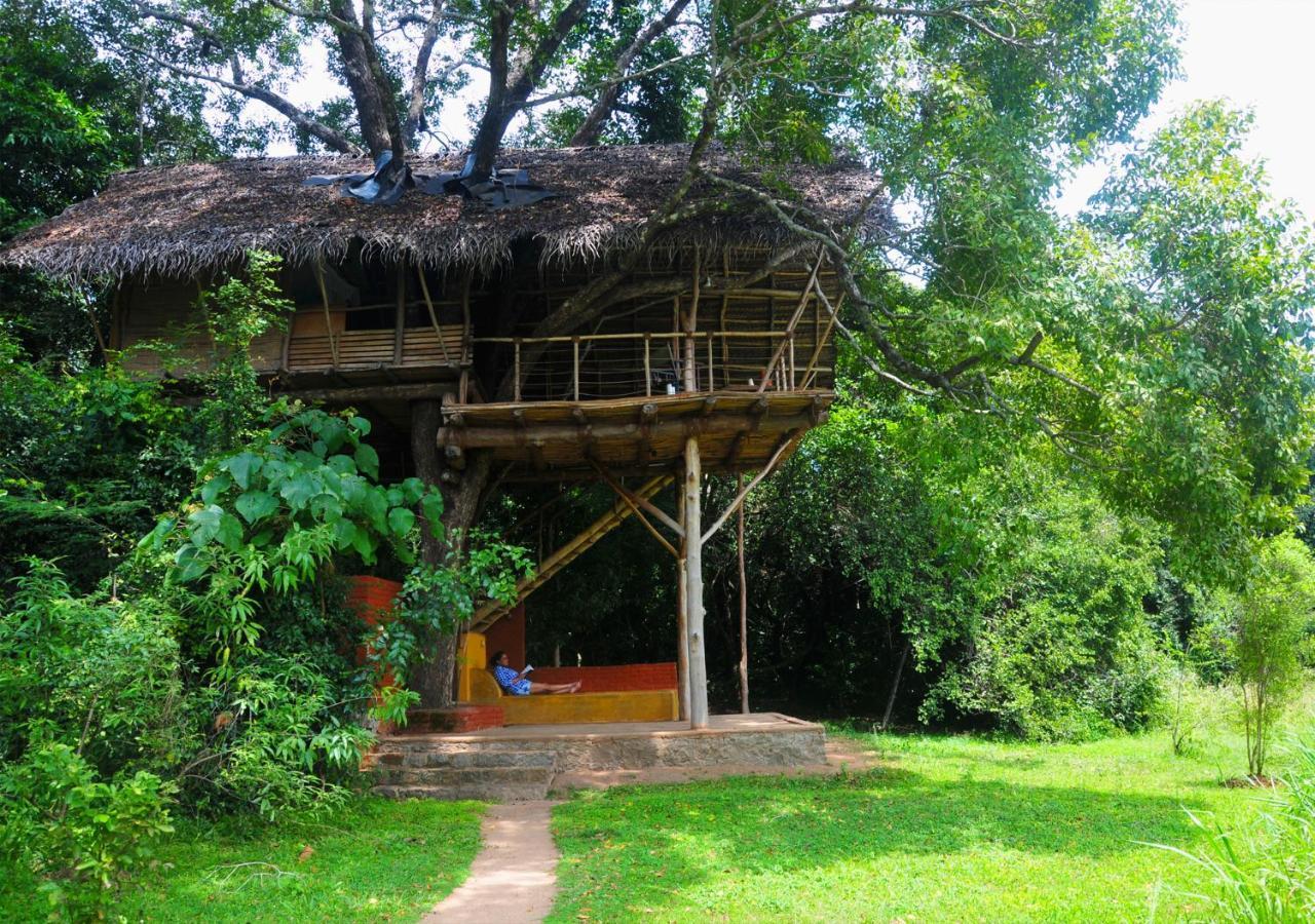 Back Of Beyond - Wild Haven Vila Sigiriya Exterior foto