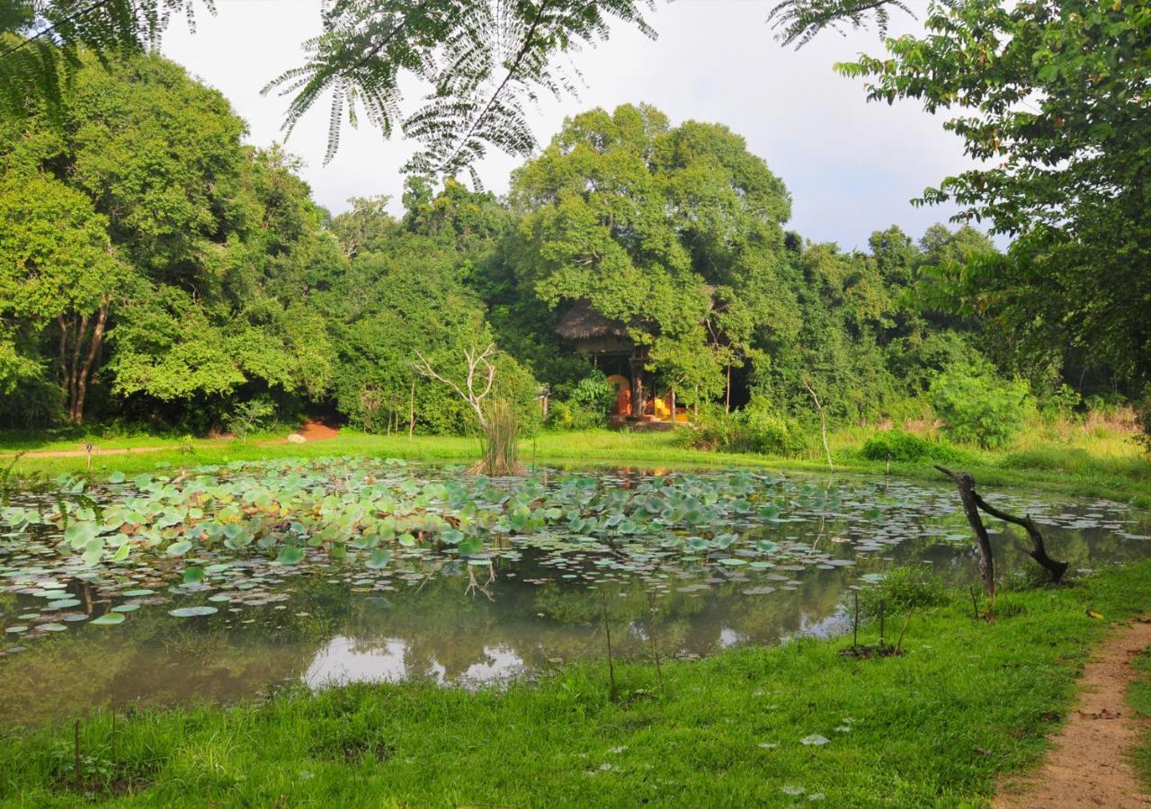 Back Of Beyond - Wild Haven Vila Sigiriya Exterior foto