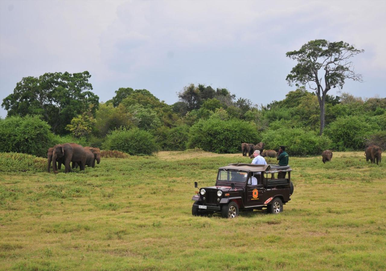 Back Of Beyond - Wild Haven Vila Sigiriya Exterior foto