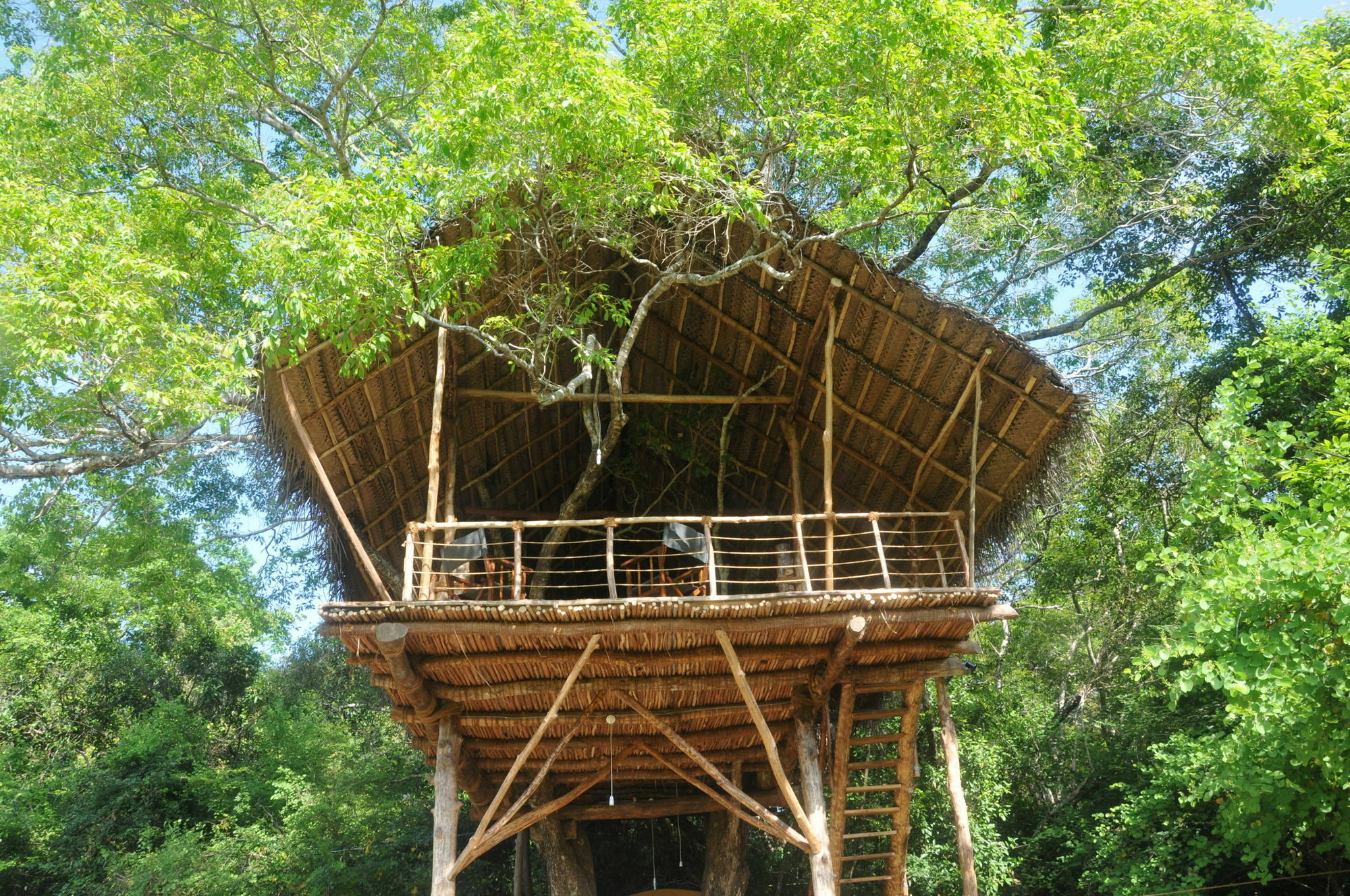 Back Of Beyond - Wild Haven Vila Sigiriya Exterior foto