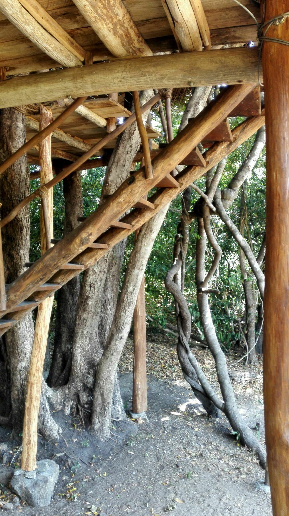 Back Of Beyond - Wild Haven Vila Sigiriya Exterior foto