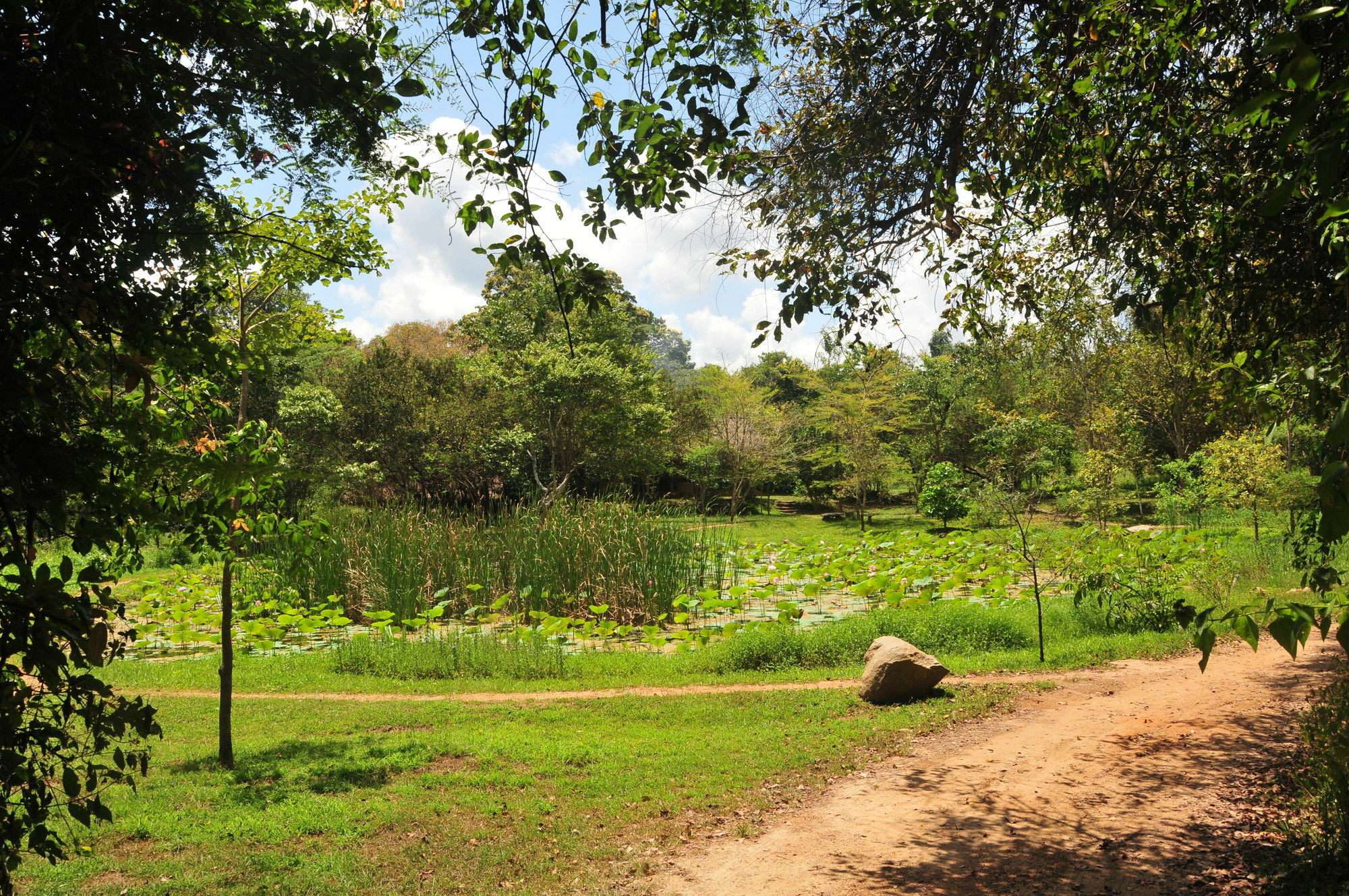 Back Of Beyond - Wild Haven Vila Sigiriya Exterior foto