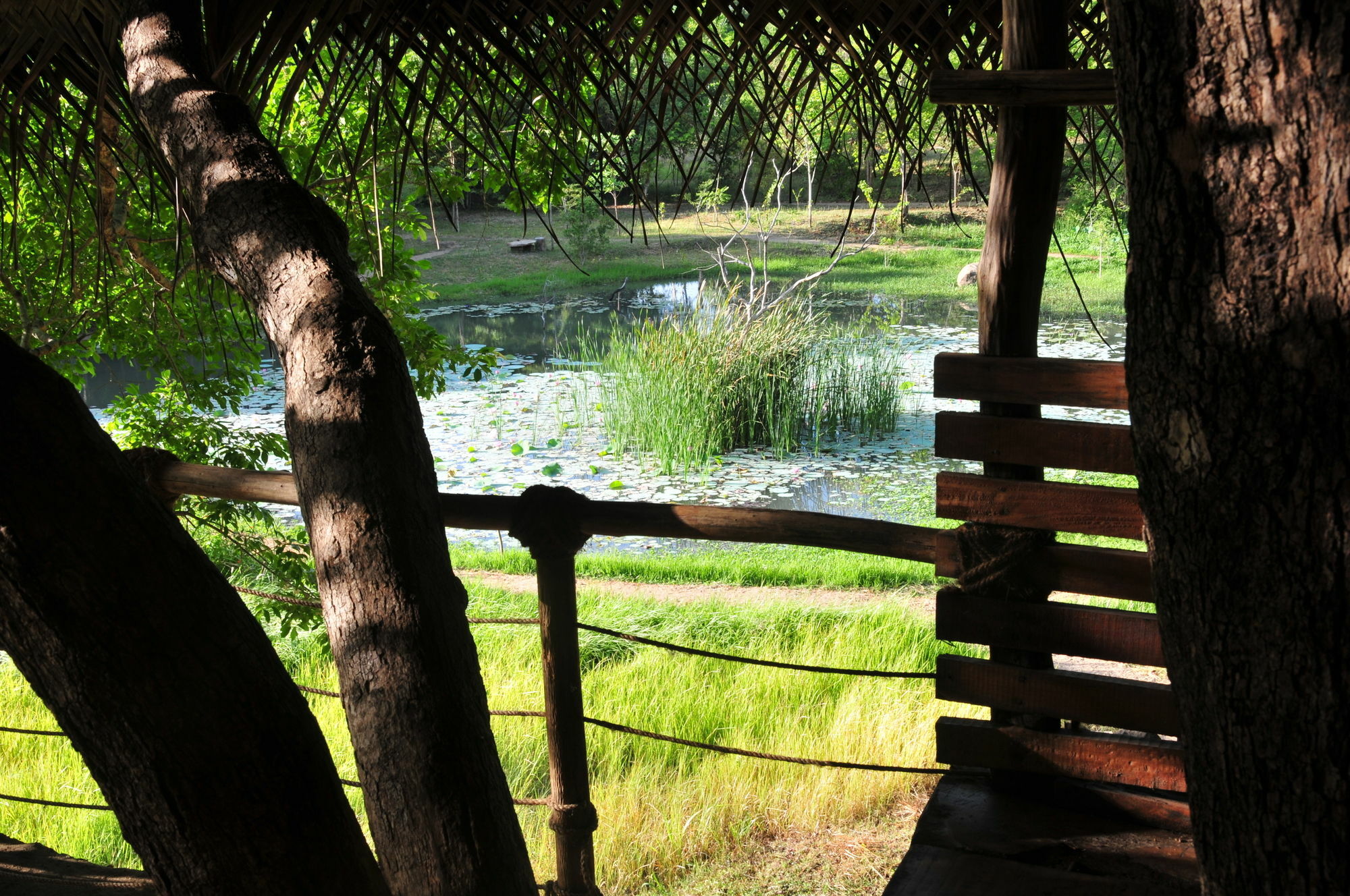 Back Of Beyond - Wild Haven Vila Sigiriya Exterior foto